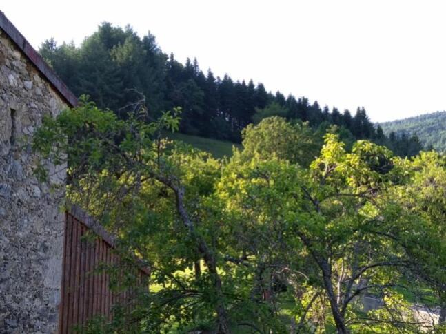 La Caminada Villa Fougax-et-Barrineuf Bagian luar foto